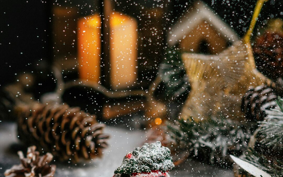 20 December 2024 Christmas at the Museum